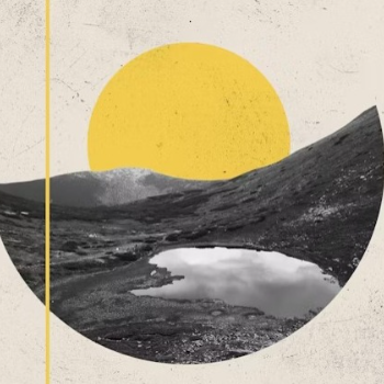 إدارة المنصة